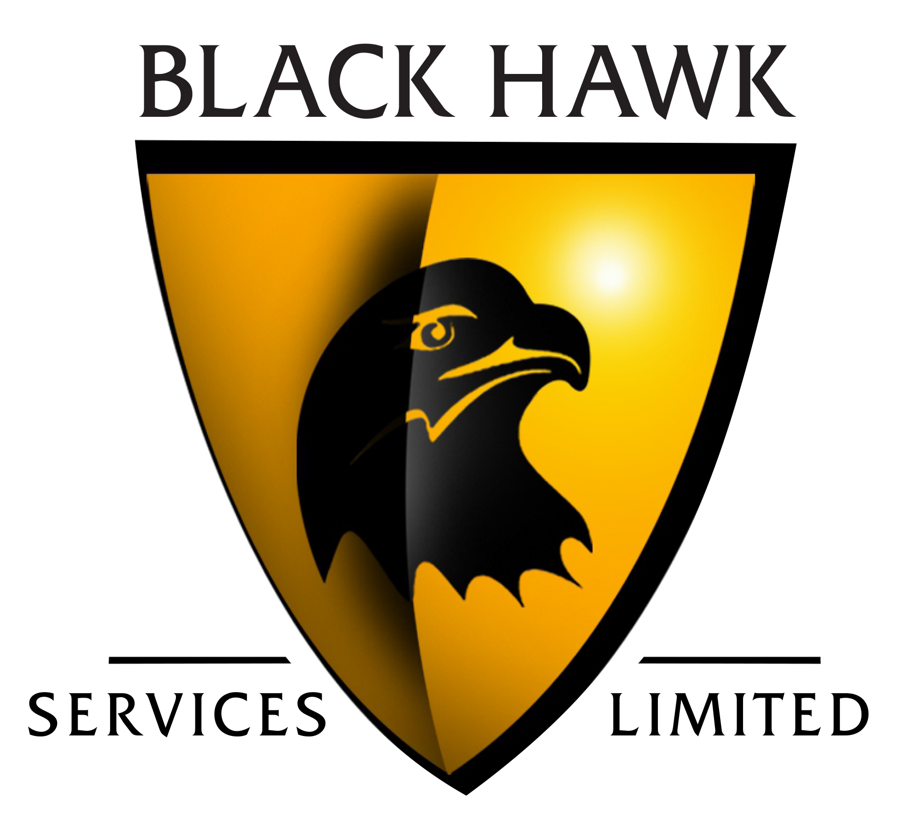Black Hawk Services Limited Logo